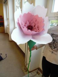 Giant Paper Flower